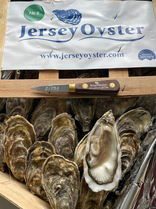 Royal Jersey oyster